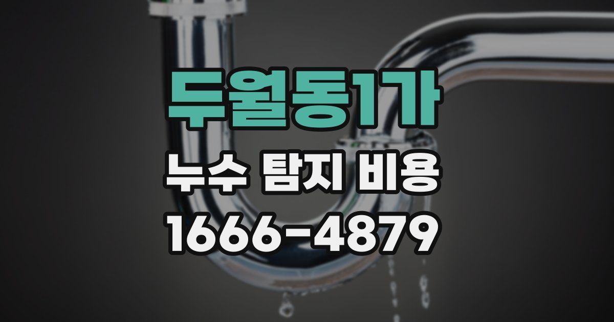 두월동1가 누수 탐지 비용