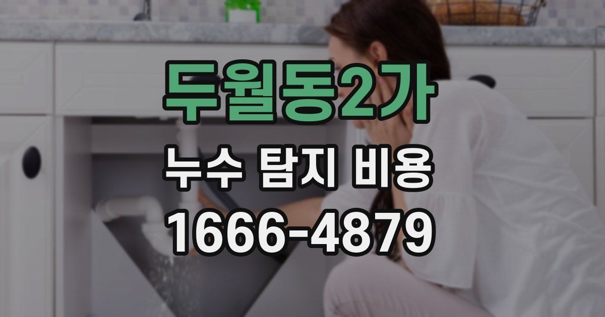 두월동2가 누수 탐지 비용