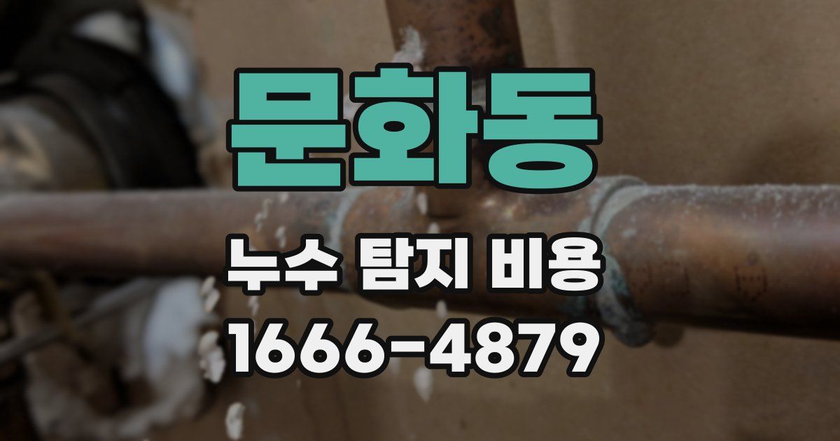 문화동 누수 탐지 비용