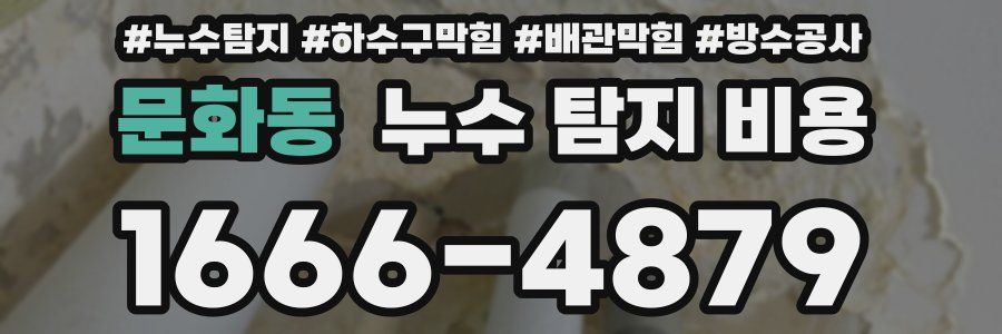 문화동 누수 탐지 비용