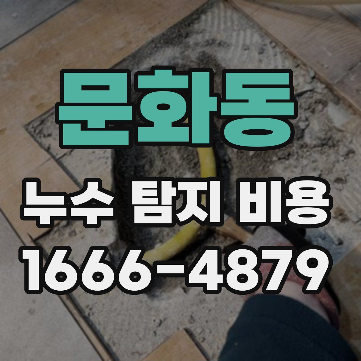문화동 누수 탐지 비용