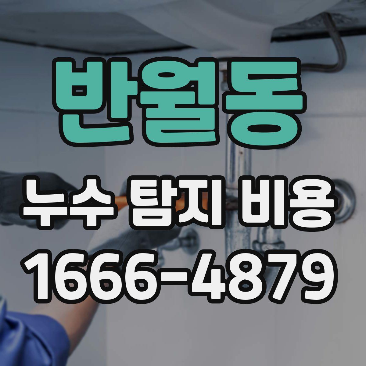 반월동 누수 탐지 비용