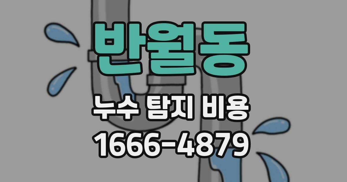 반월동 누수 탐지 비용