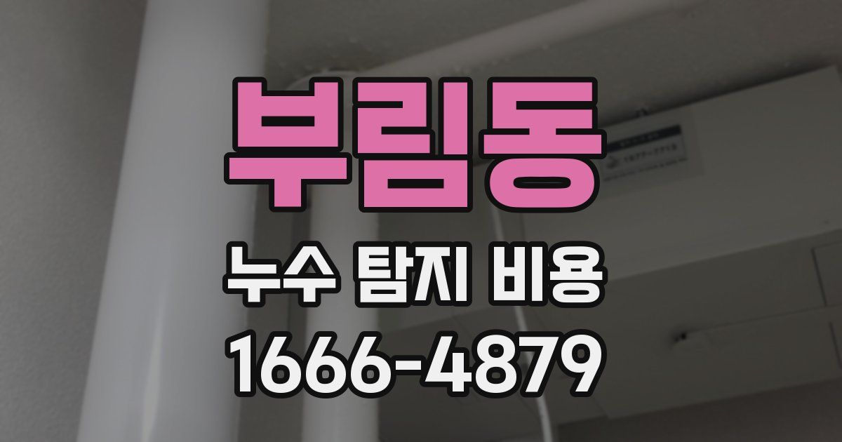 부림동 누수 탐지 비용