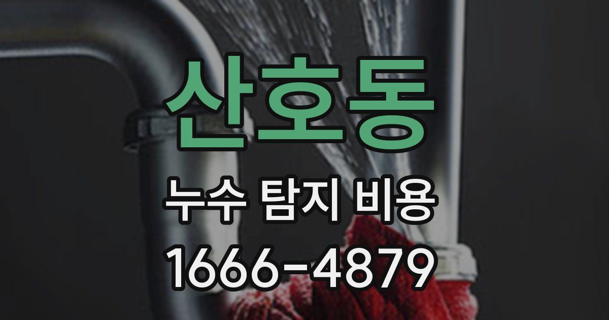 산호동 누수 탐지 비용