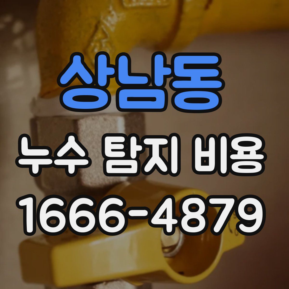 상남동 누수 탐지 비용