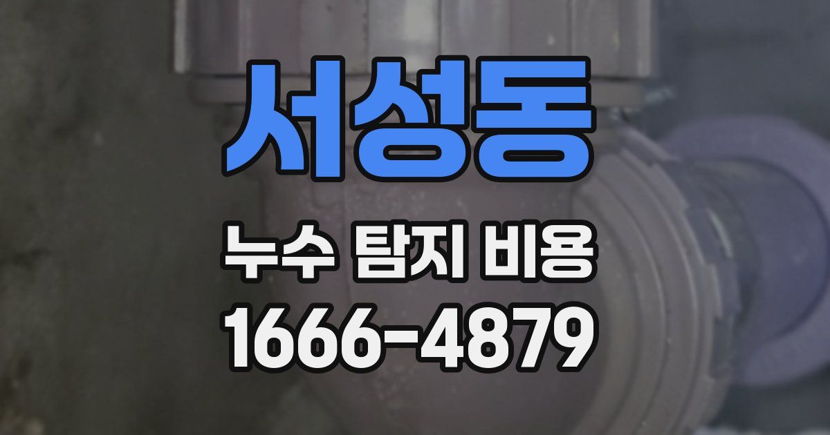서성동 누수 탐지 비용