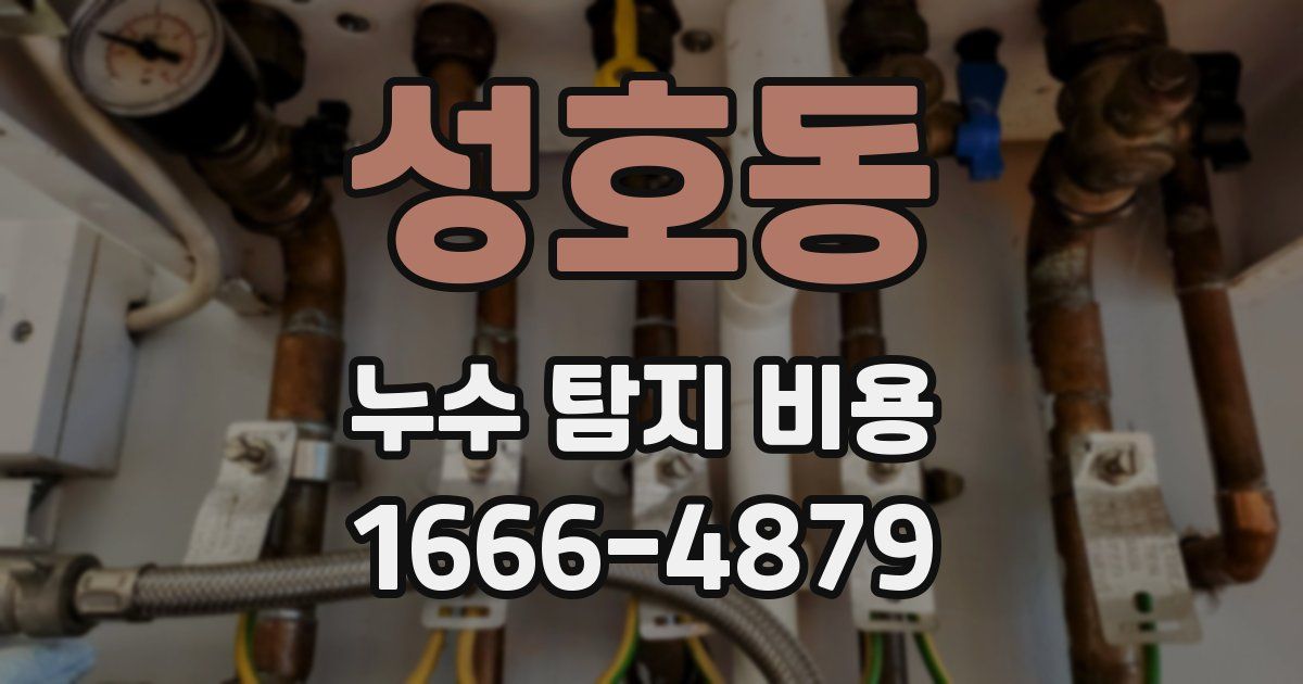 성호동 누수 탐지 비용