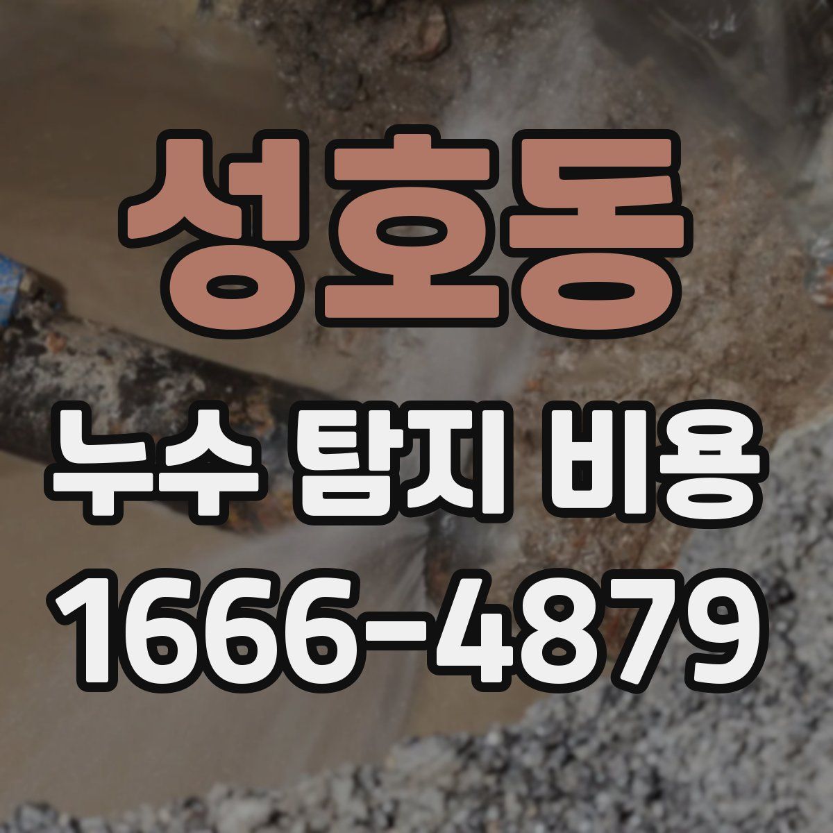 성호동 누수 탐지 비용