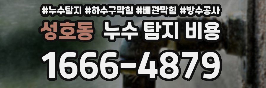 성호동 누수 탐지 비용