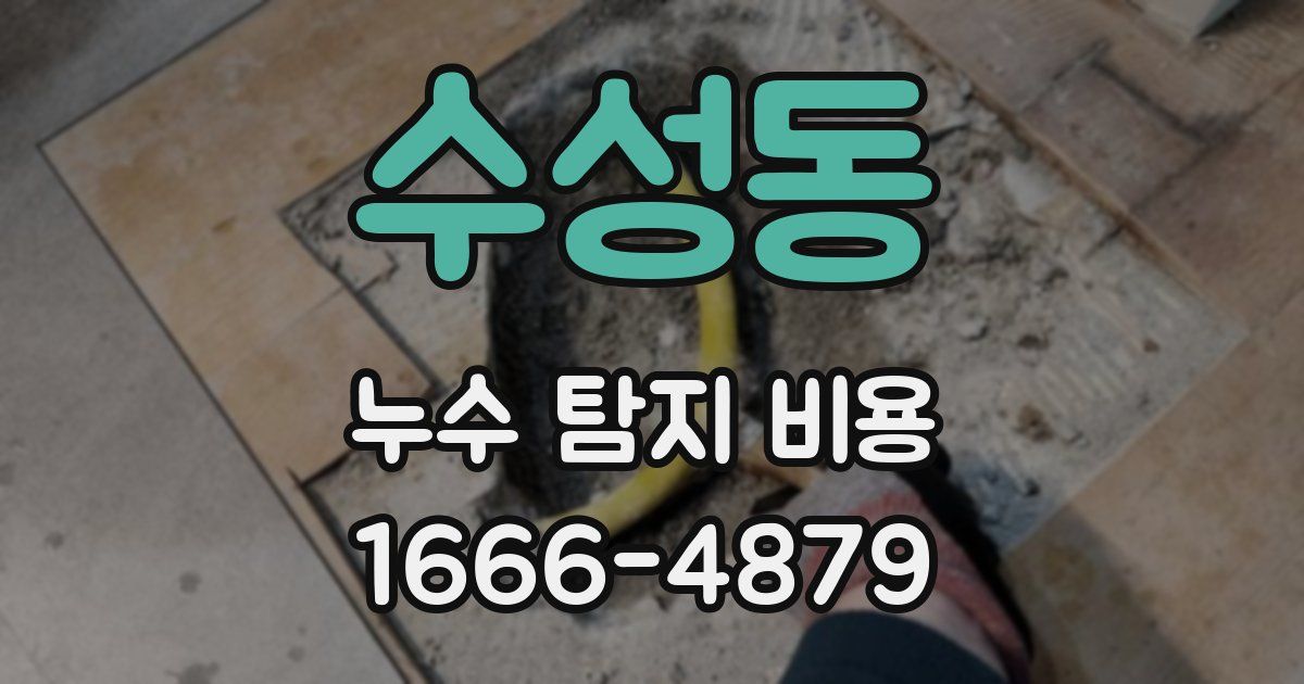 수성동 누수 탐지 비용
