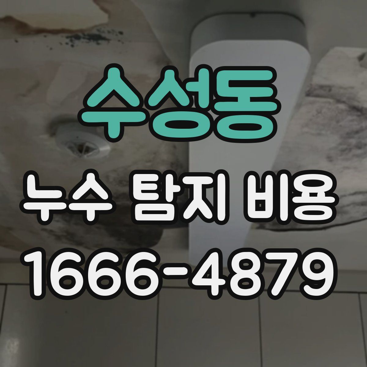수성동 누수 탐지 비용