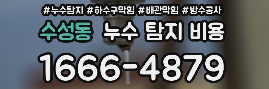 수성동 누수 탐지 비용