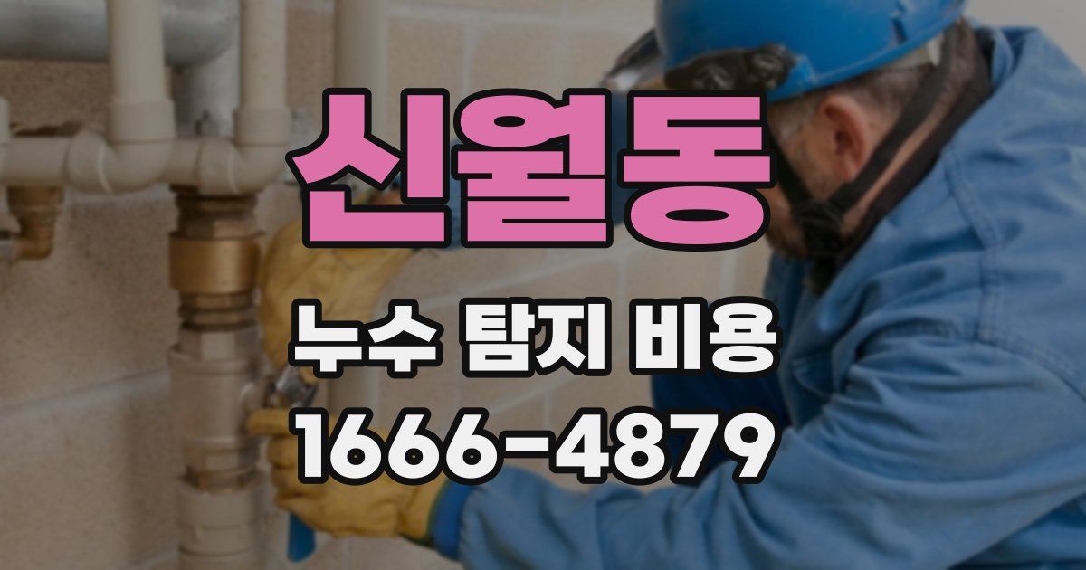 신월동 누수 탐지 비용
