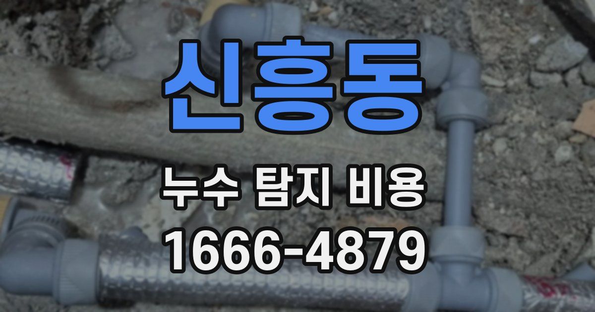 신흥동 누수 탐지 비용
