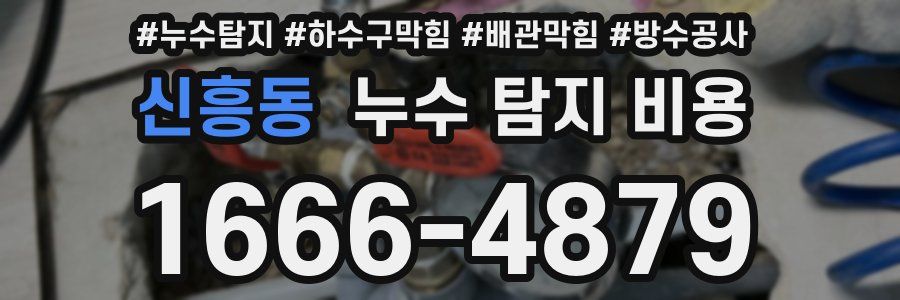 신흥동 누수 탐지 비용