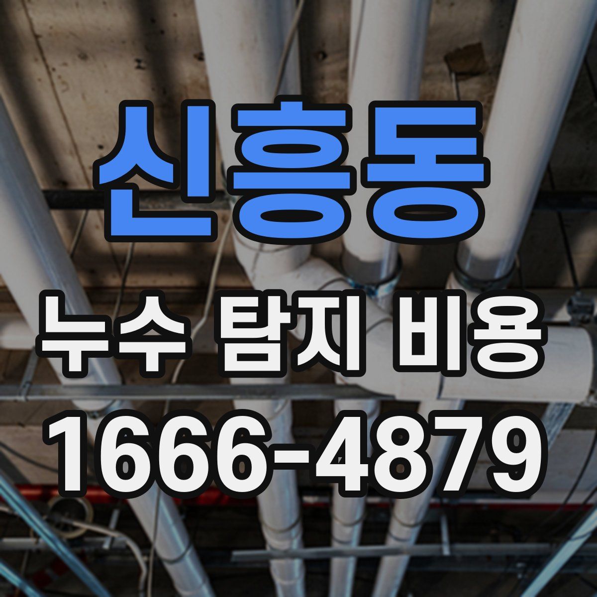 신흥동 누수 탐지 비용