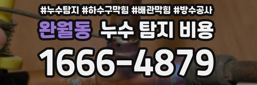 완월동 누수 탐지 비용