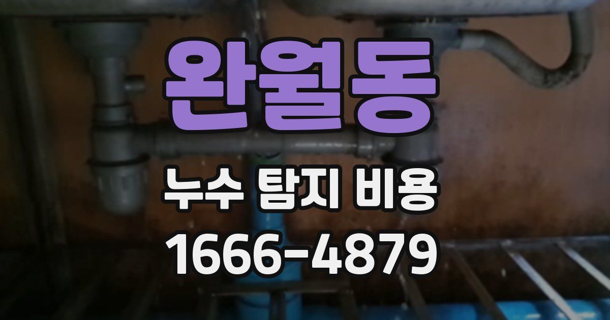 완월동 누수 탐지 비용