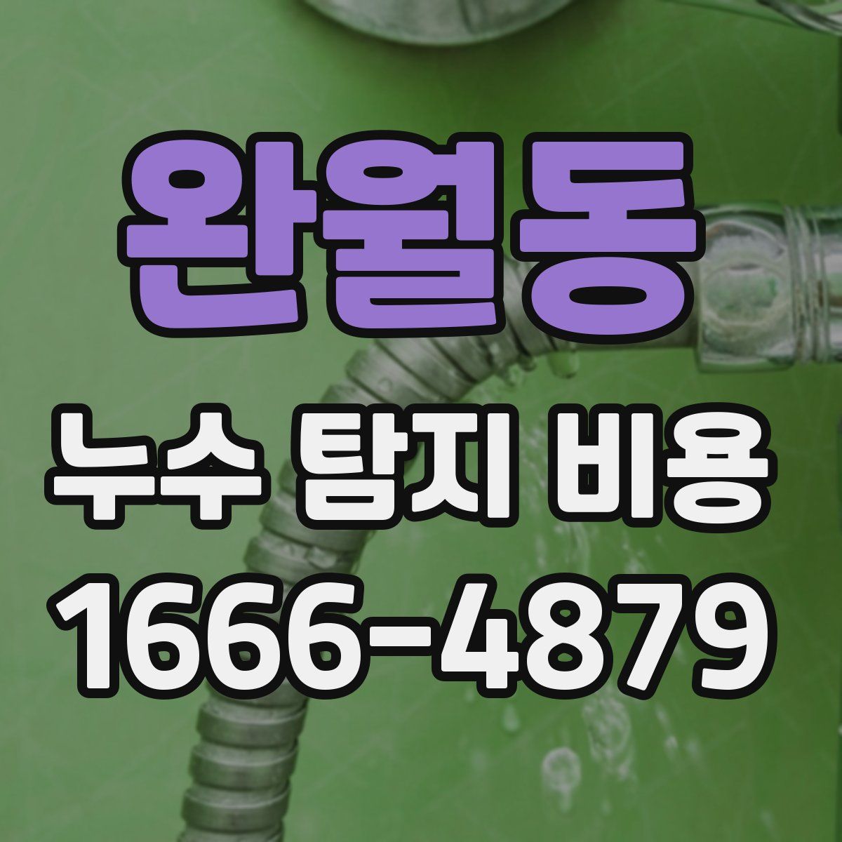 완월동 누수 탐지 비용