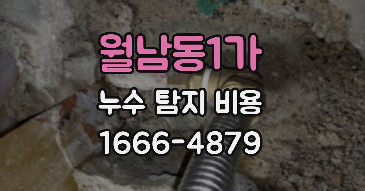 월남동1가 누수 탐지 비용