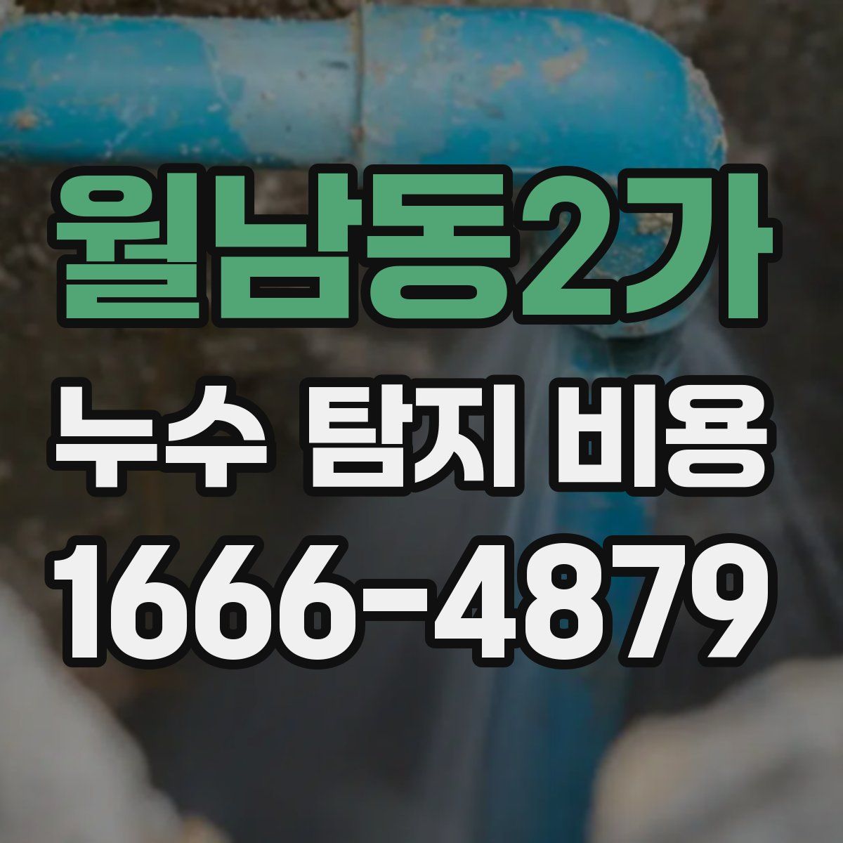 월남동2가 누수 탐지 비용