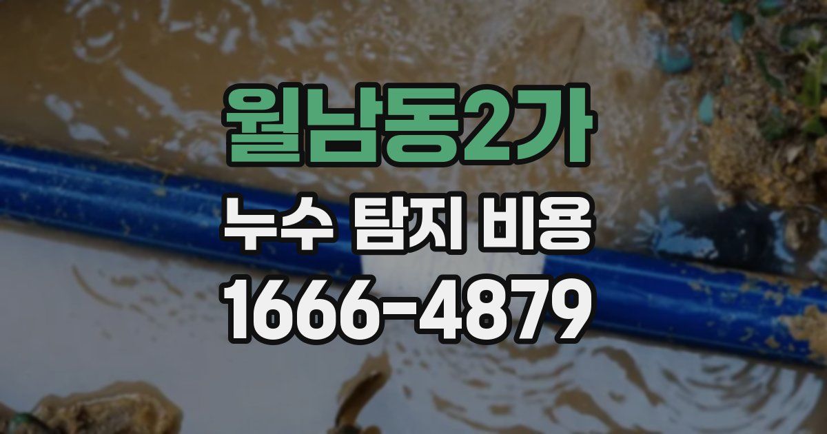 월남동2가 누수 탐지 비용