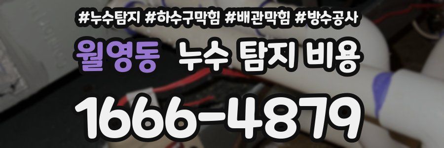 월영동 누수 탐지 비용