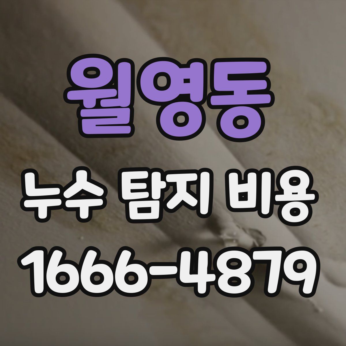 월영동 누수 탐지 비용