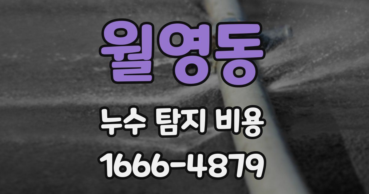 월영동 누수 탐지 비용
