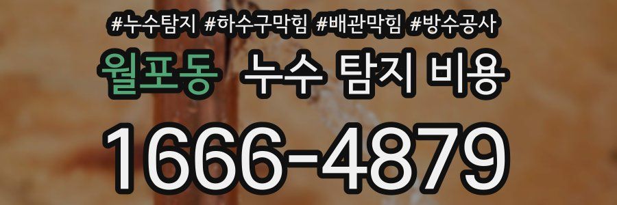 월포동 누수 탐지 비용