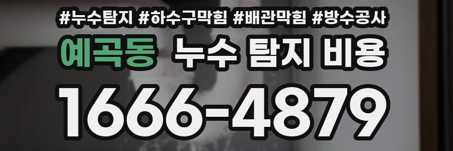 예곡동 누수 탐지 비용