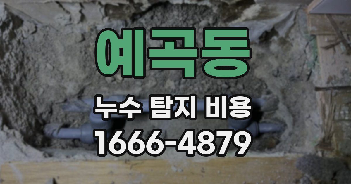 예곡동 누수 탐지 비용