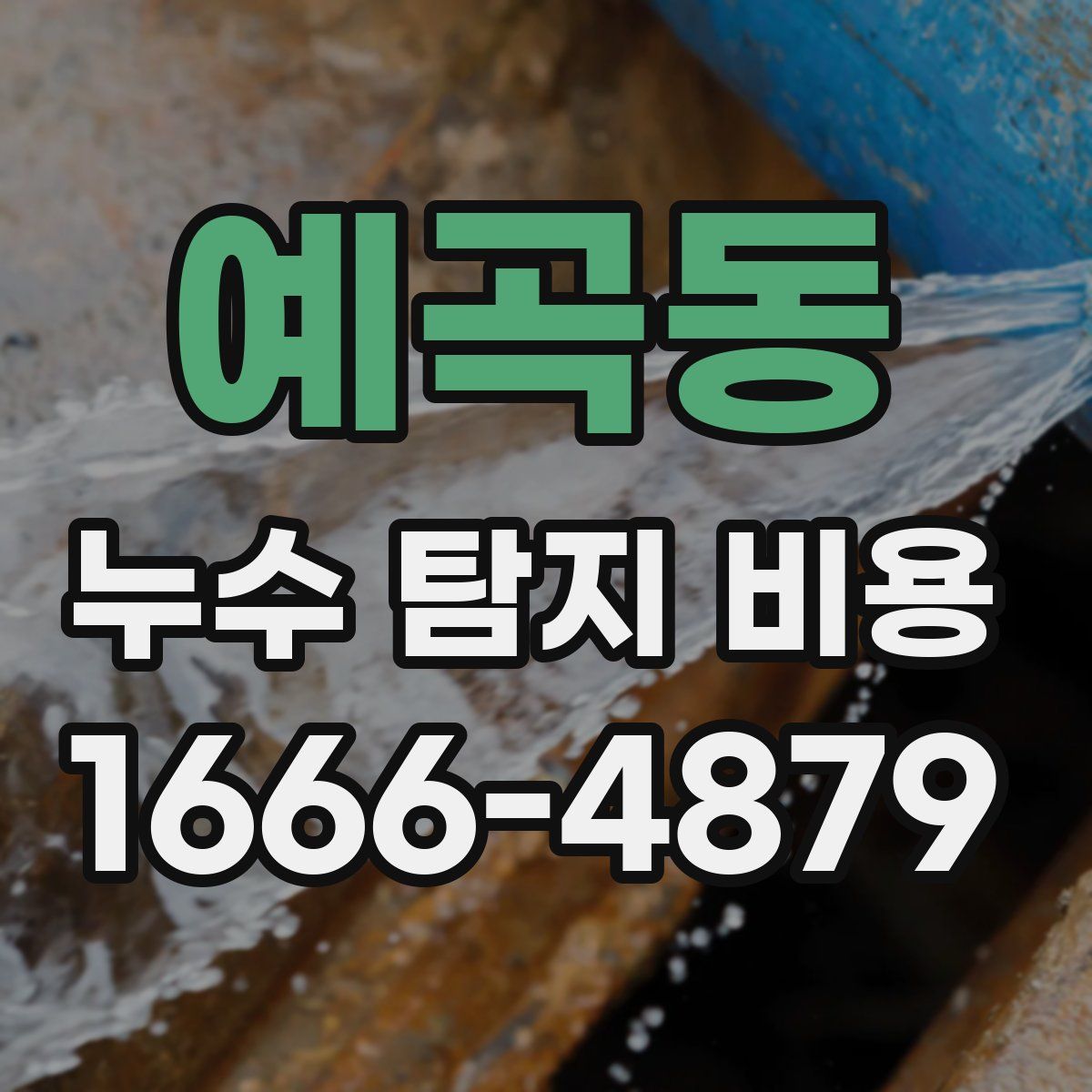예곡동 누수 탐지 비용