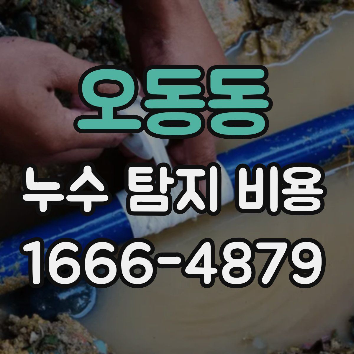 오동동 누수 탐지 비용
