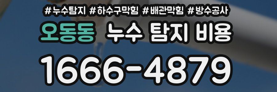 오동동 누수 탐지 비용