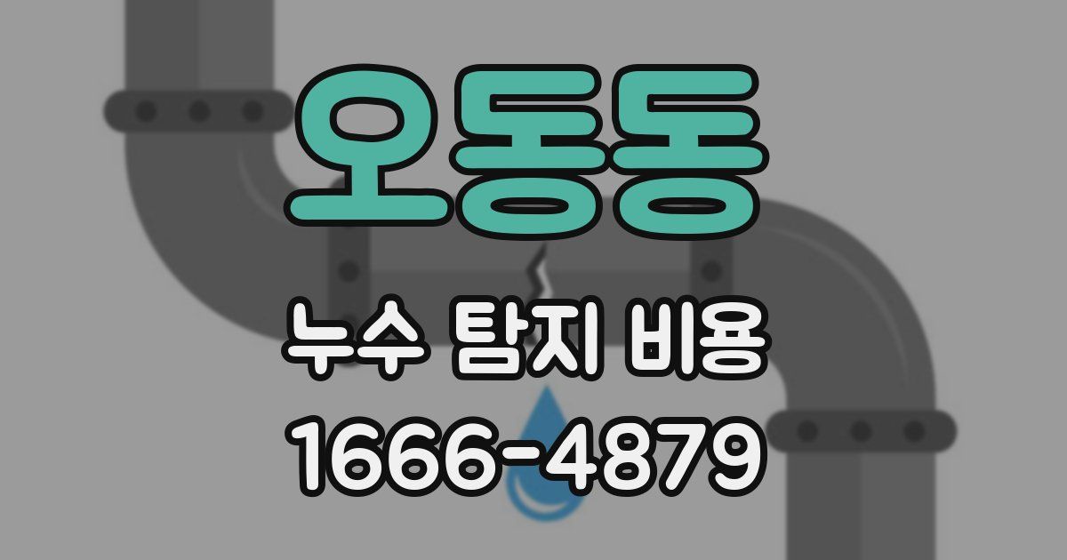 오동동 누수 탐지 비용