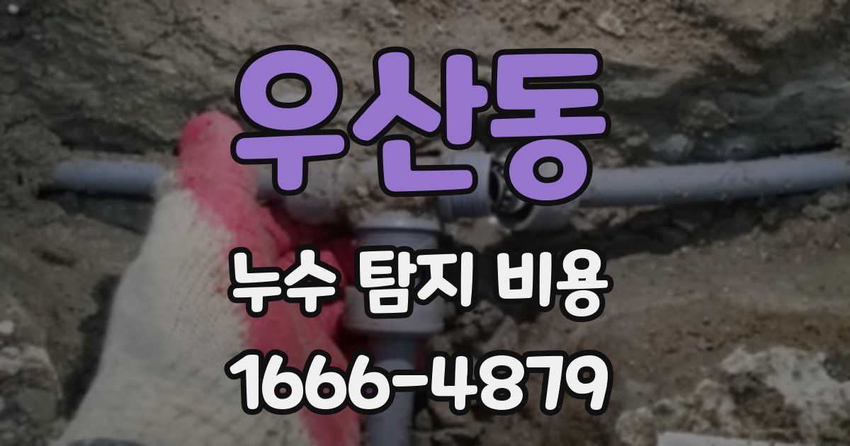 우산동 누수 탐지 비용