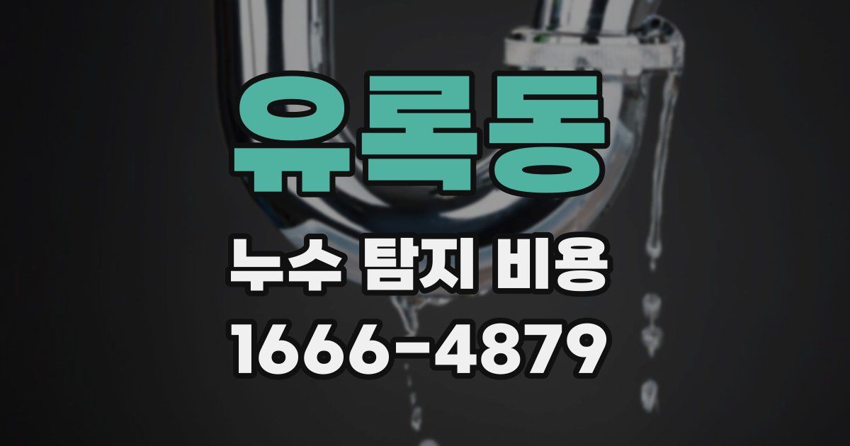 유록동 누수 탐지 비용