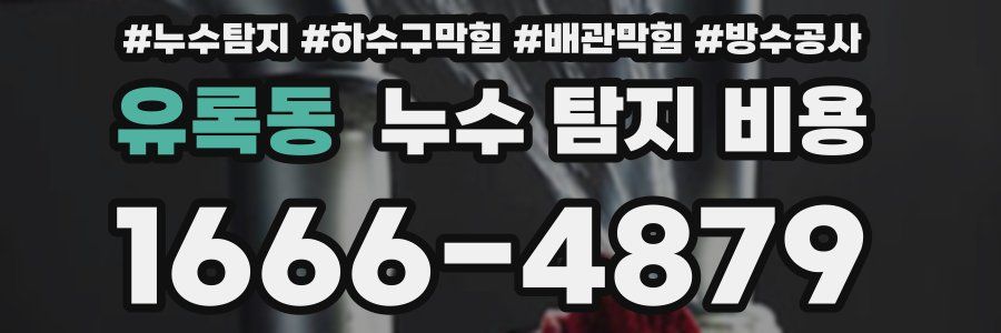 유록동 누수 탐지 비용