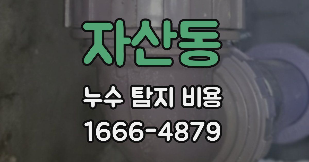 자산동 누수 탐지 비용