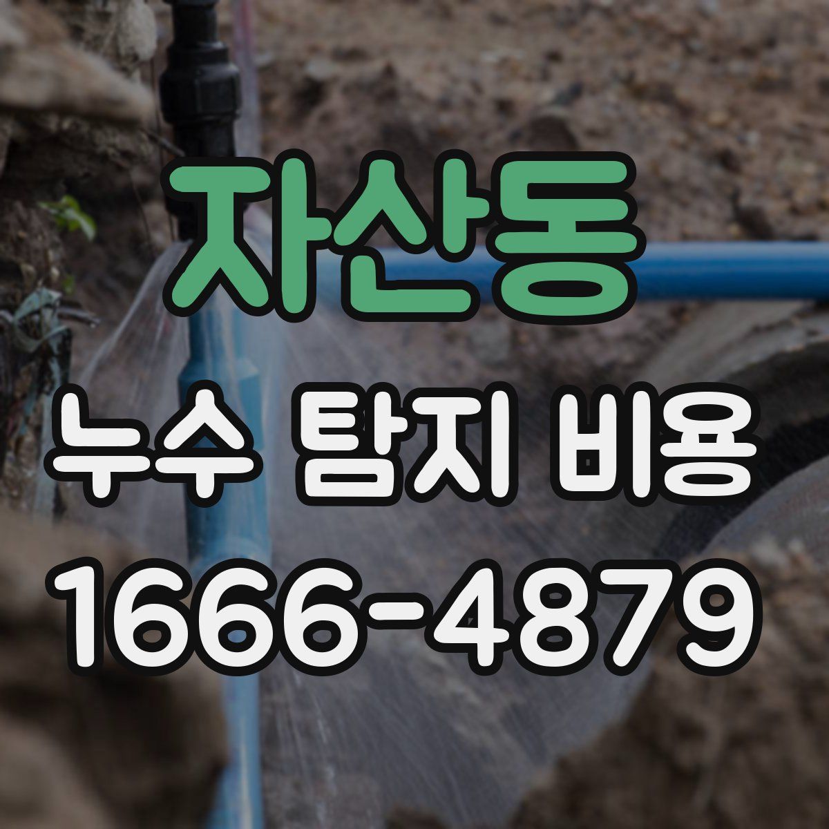 자산동 누수 탐지 비용