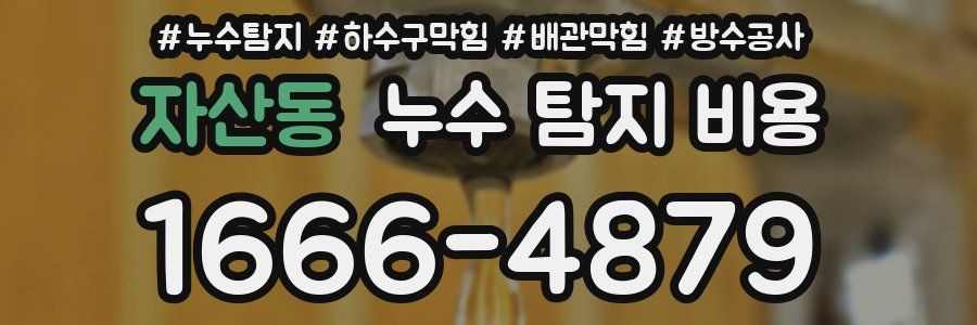 자산동 누수 탐지 비용