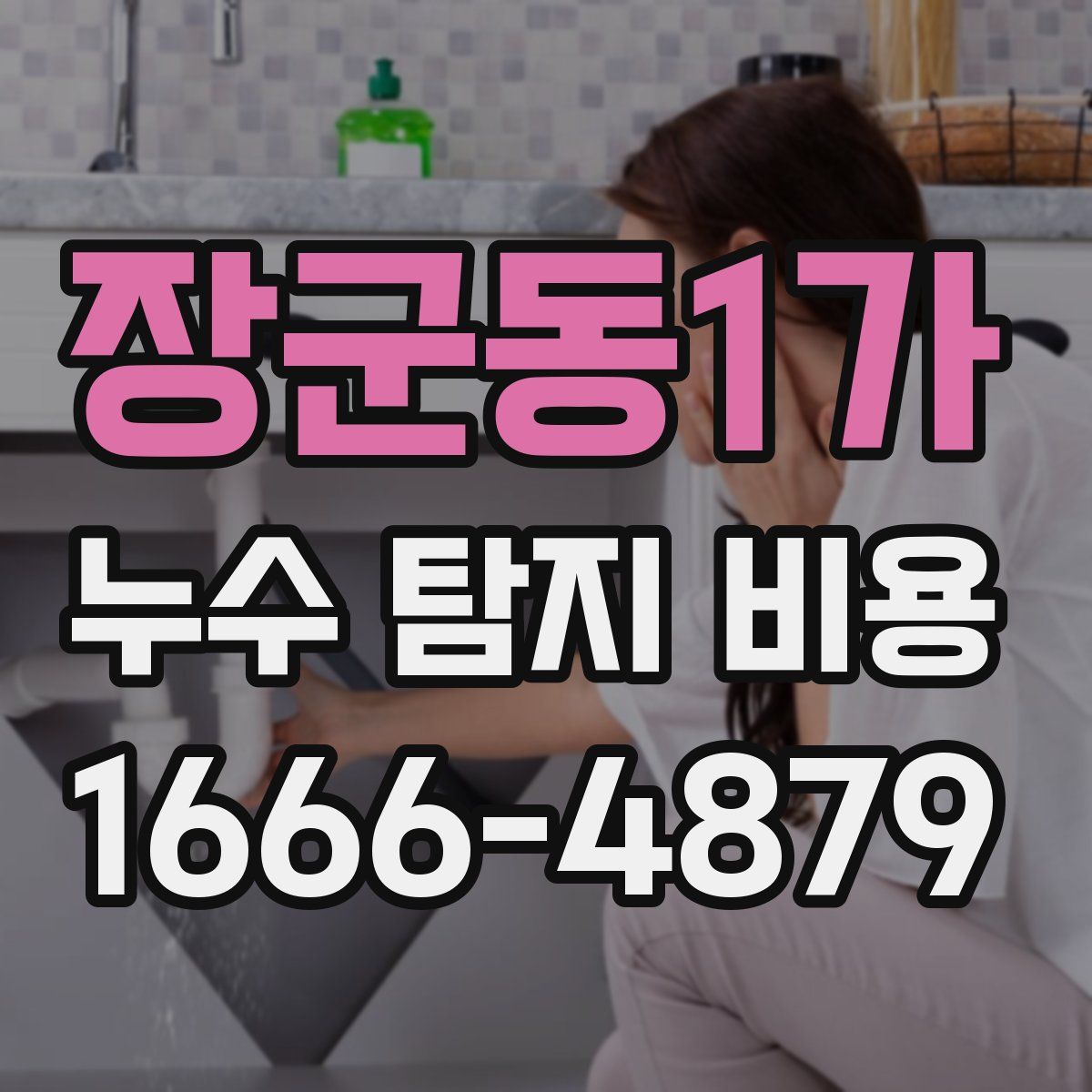 장군동1가 누수 탐지 비용