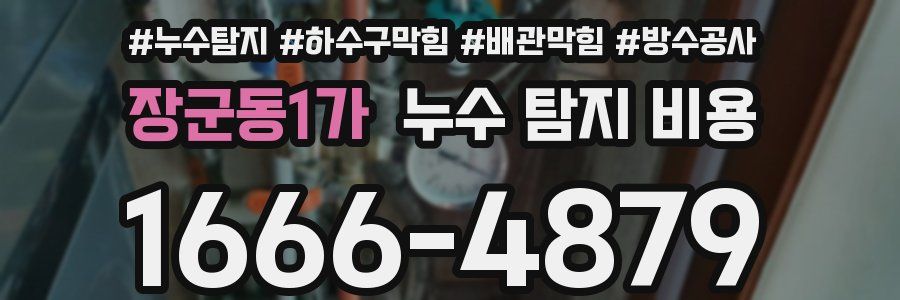 장군동1가 누수 탐지 비용