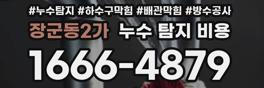 장군동2가 누수 탐지 비용