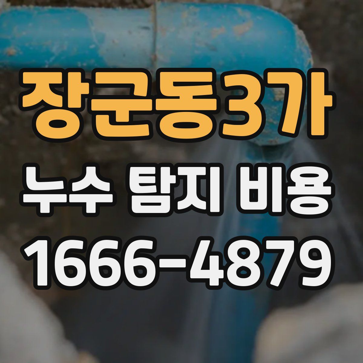장군동3가 누수 탐지 비용