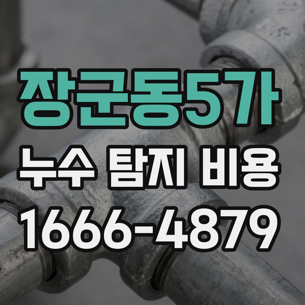 장군동5가 누수 탐지 비용