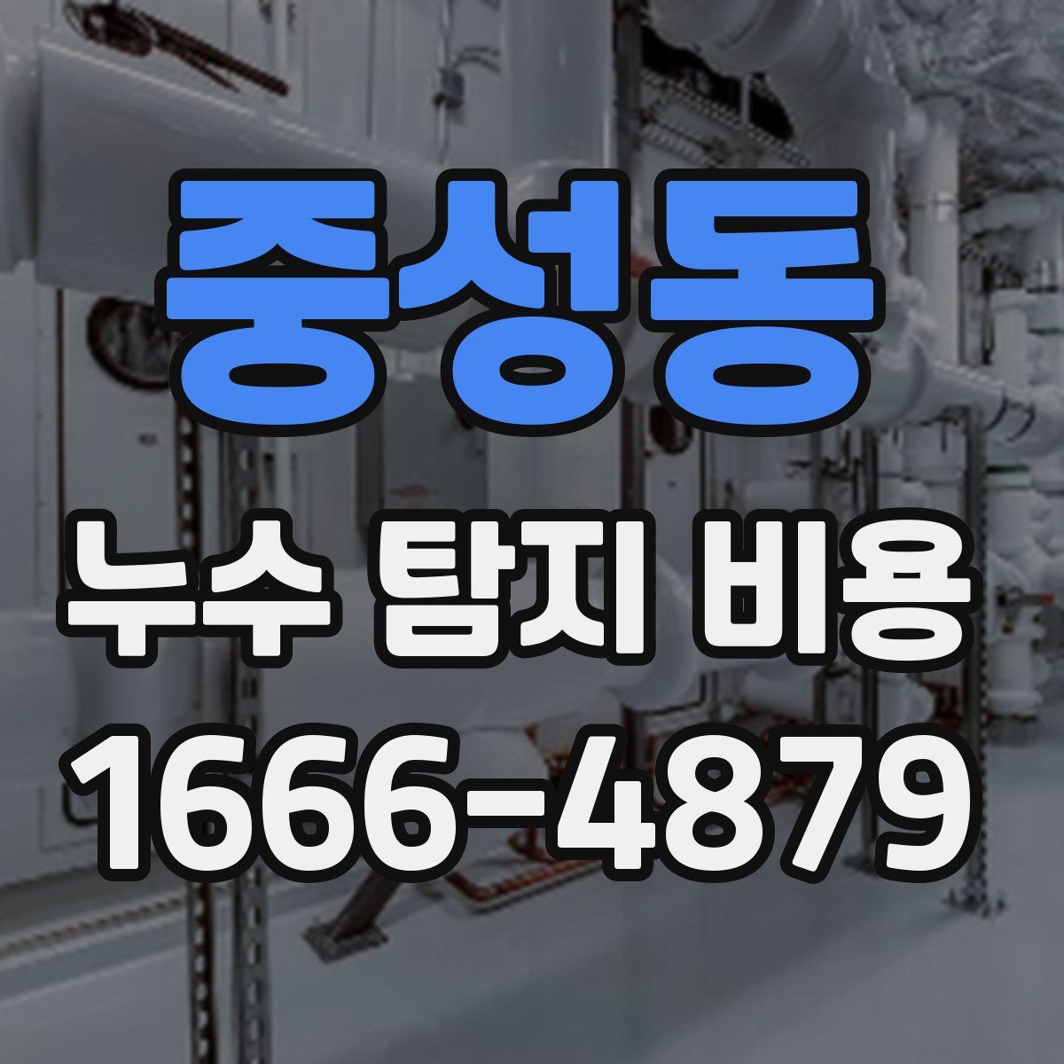 중성동 누수 탐지 비용
