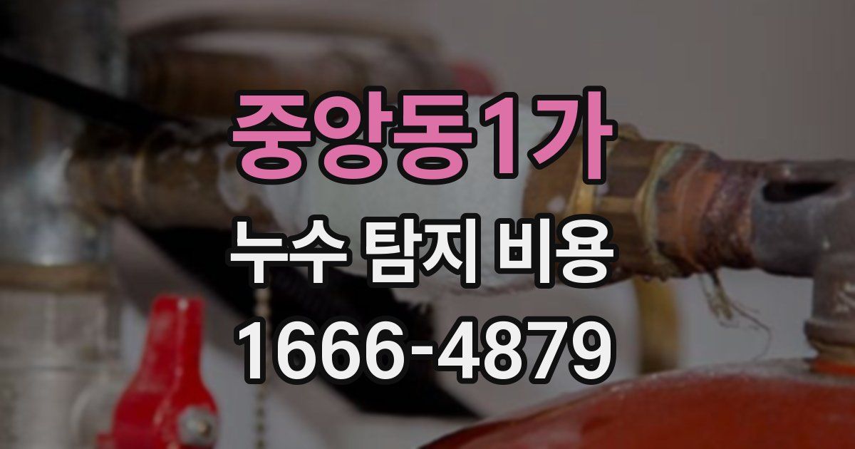중앙동1가 누수 탐지 비용
